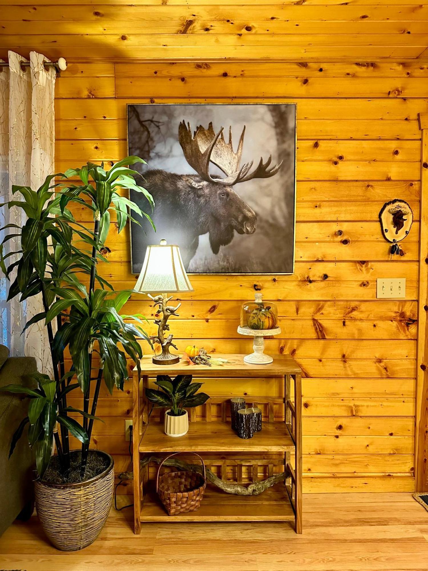 Cozy Cabin In Red River Gorge Rogers Extérieur photo